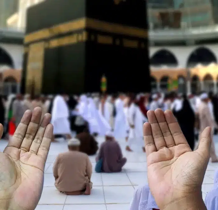 صورة 3