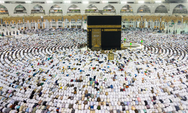 صورة 7
